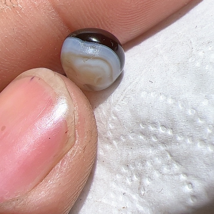 香榧木范***5在家了一个小时