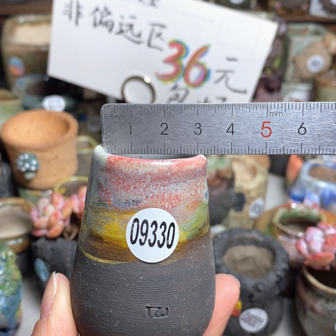 花盆拍5送一个小礼物