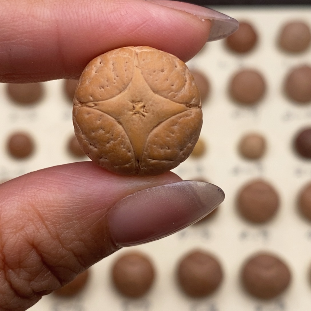 凤眼菩提吊坠麒麟