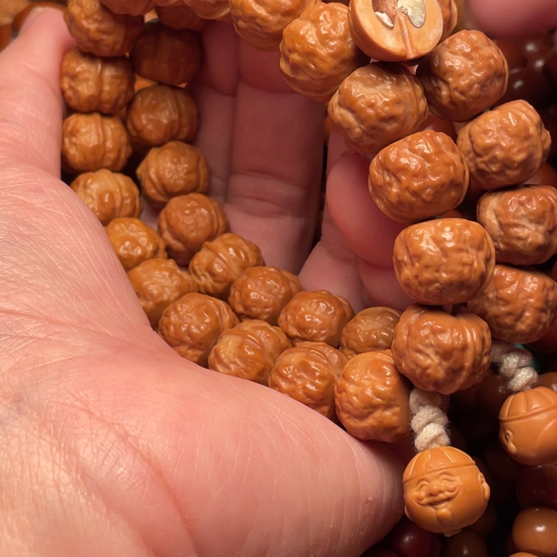 子***奥崖柏猴头核桃树1222