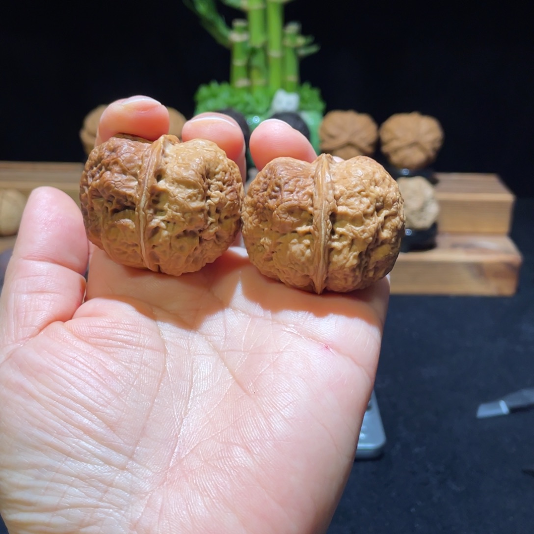 文玩核桃把件云南铁核桃7