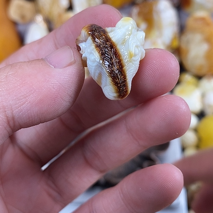 琥珀未镶嵌裸石我