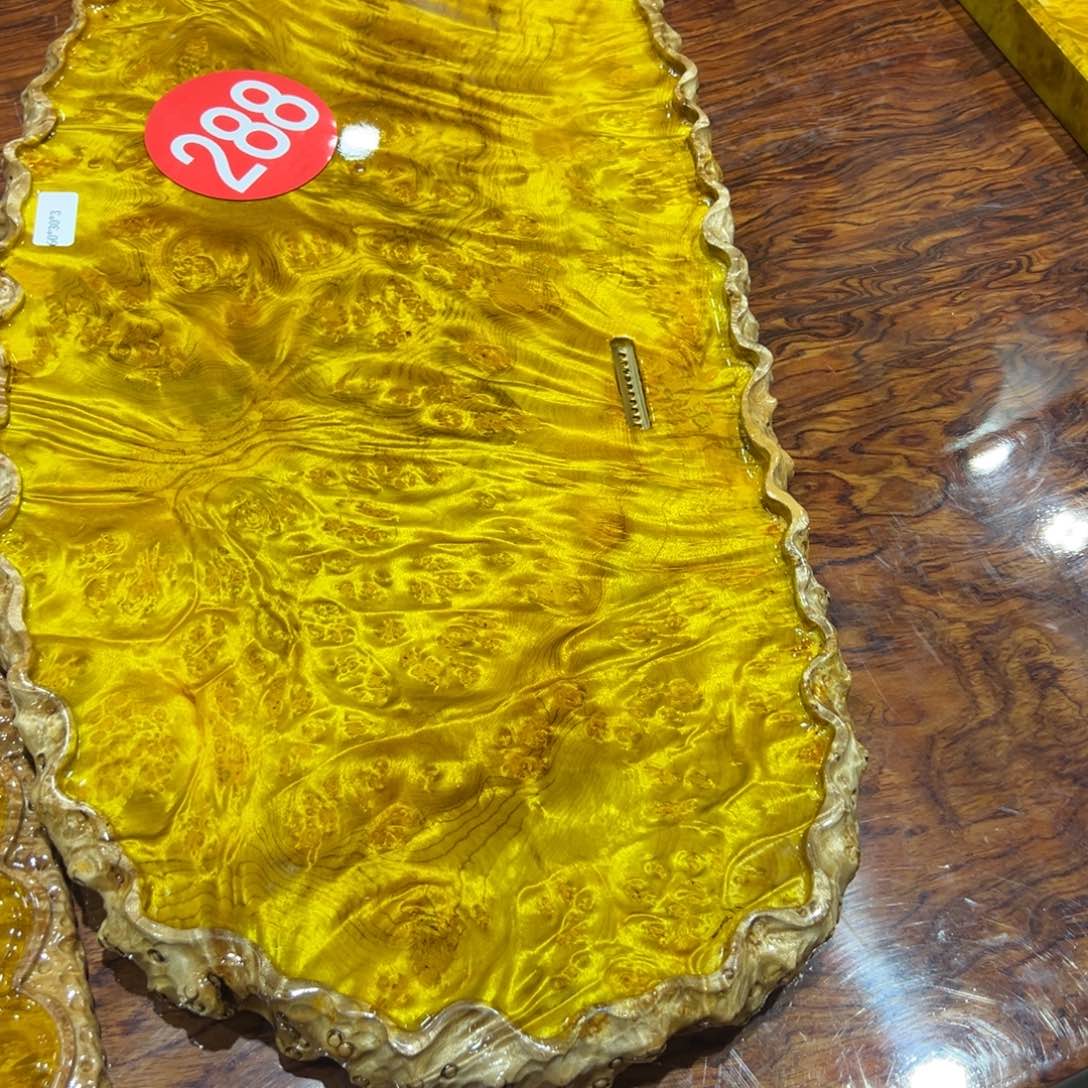 禅**静黄金樟888888888778888
