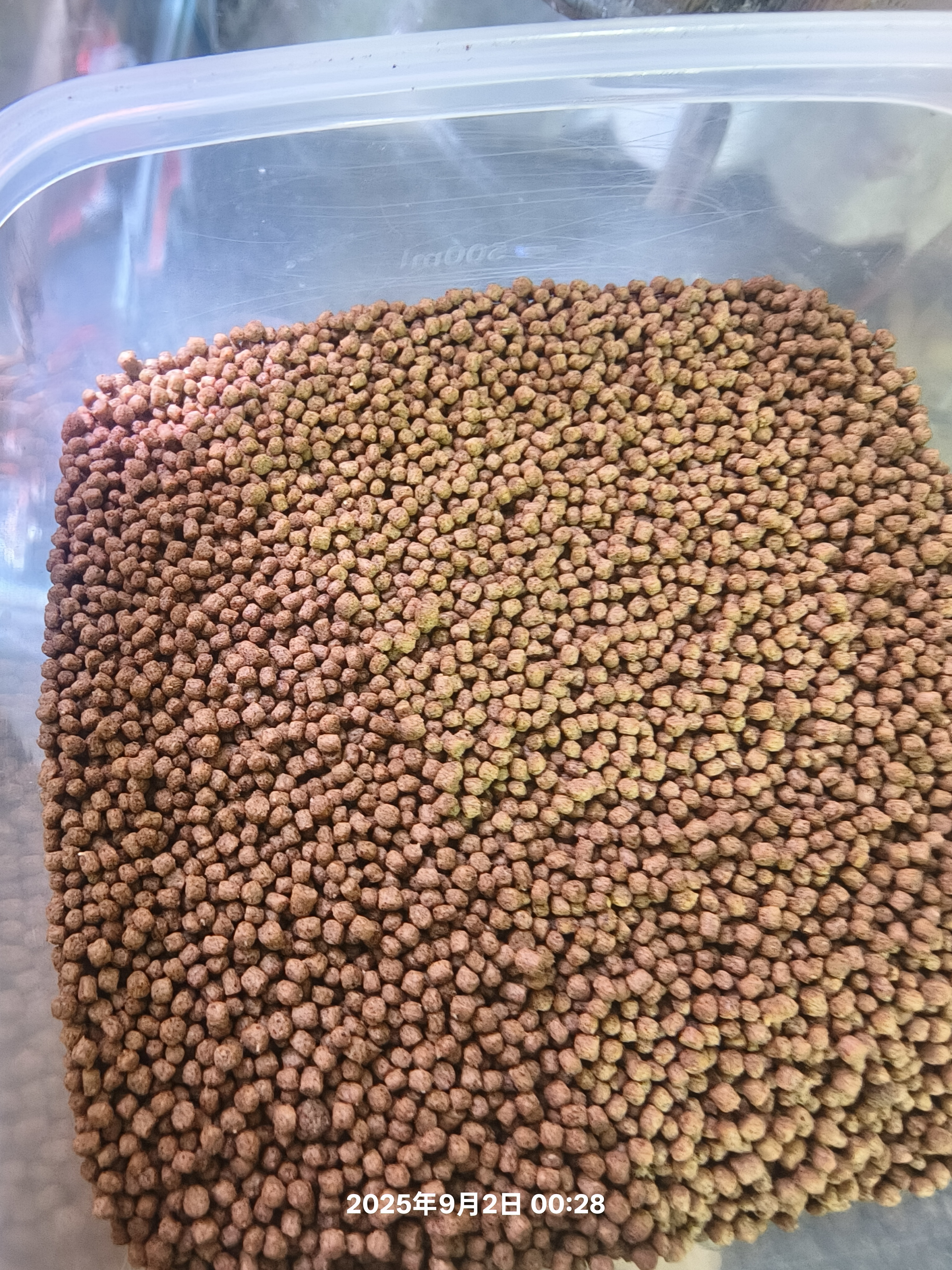 观赏鱼饲料高蛋白不浑水增色起头