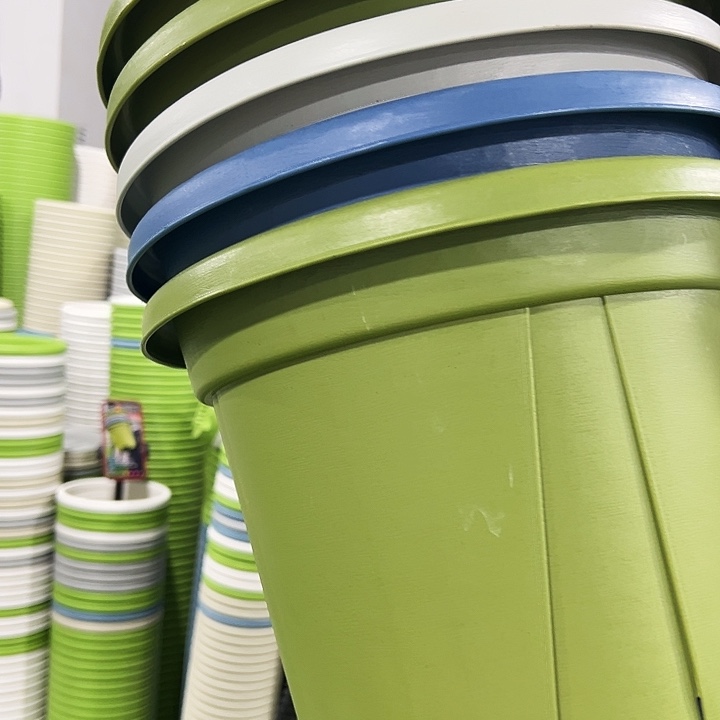 正品青山口32高28果绿色5个无托