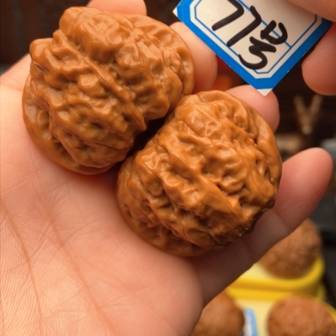 文玩核桃吊坠金蟾40