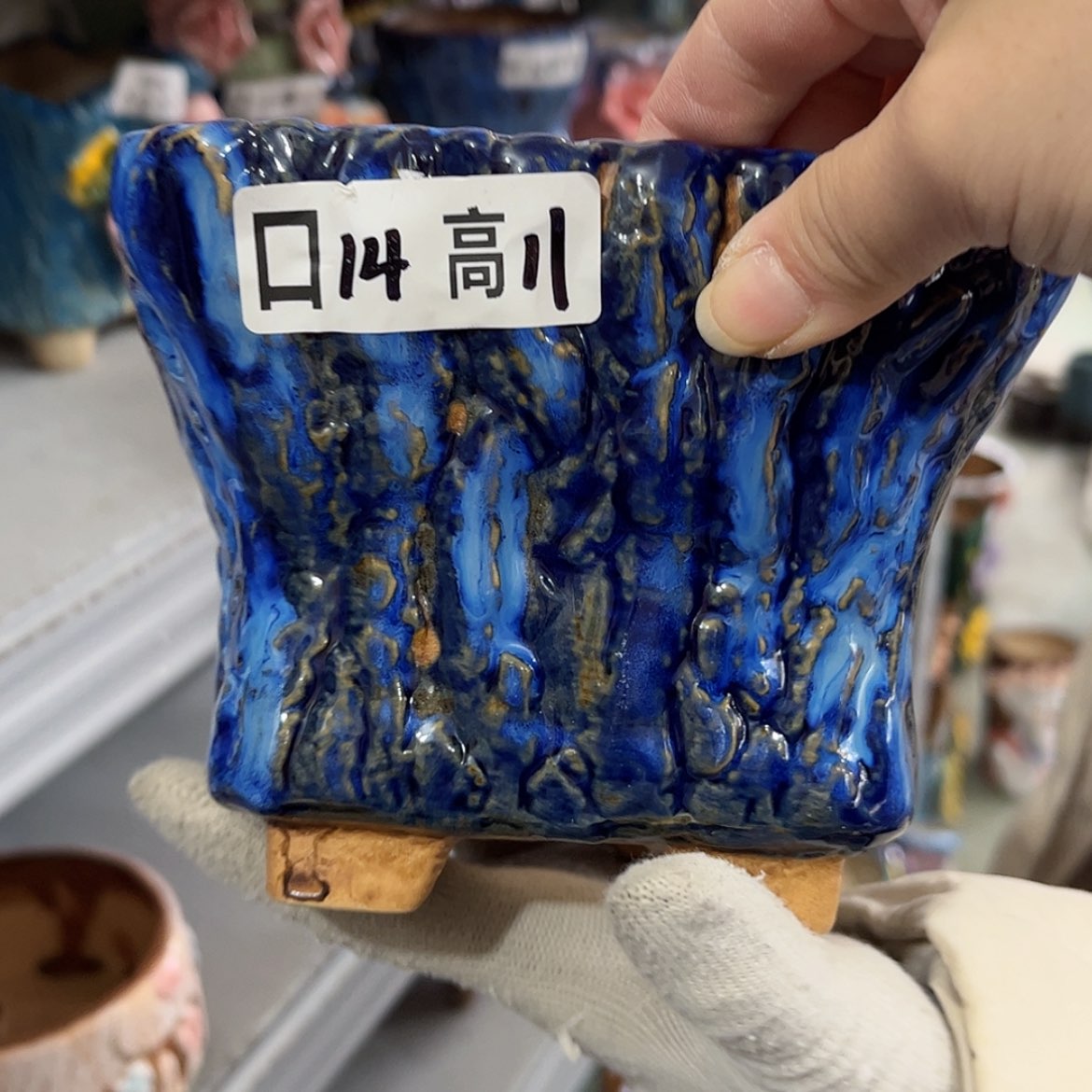 【闪购商品】红陶福利