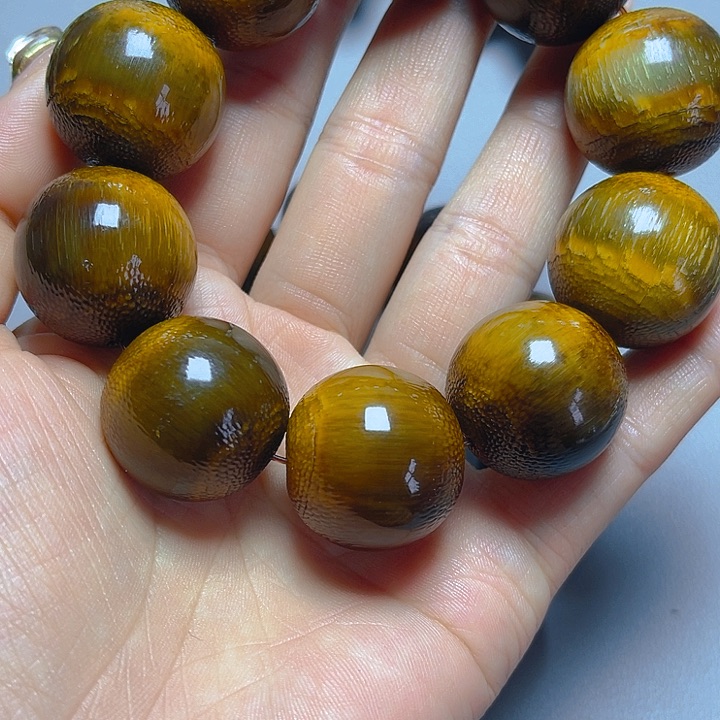 大果紫檀（缅甸花梨）