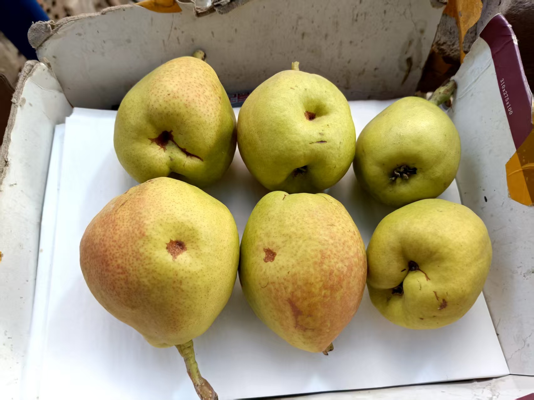 库尔勒特产丑香梨自然生长爆汁香甜原产地直发包邮100克以上