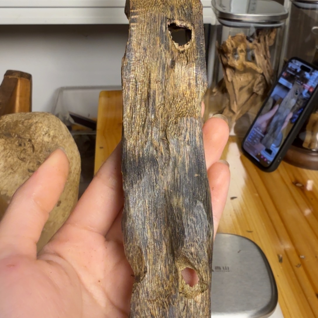 沉香绿奇虫漏香30克