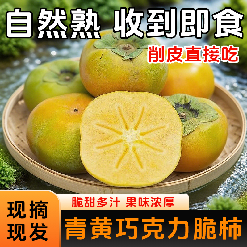 广西巧克力甜脆柿子新鲜正宗冰糖青黄心应季水果削皮纯甜不涩QC01