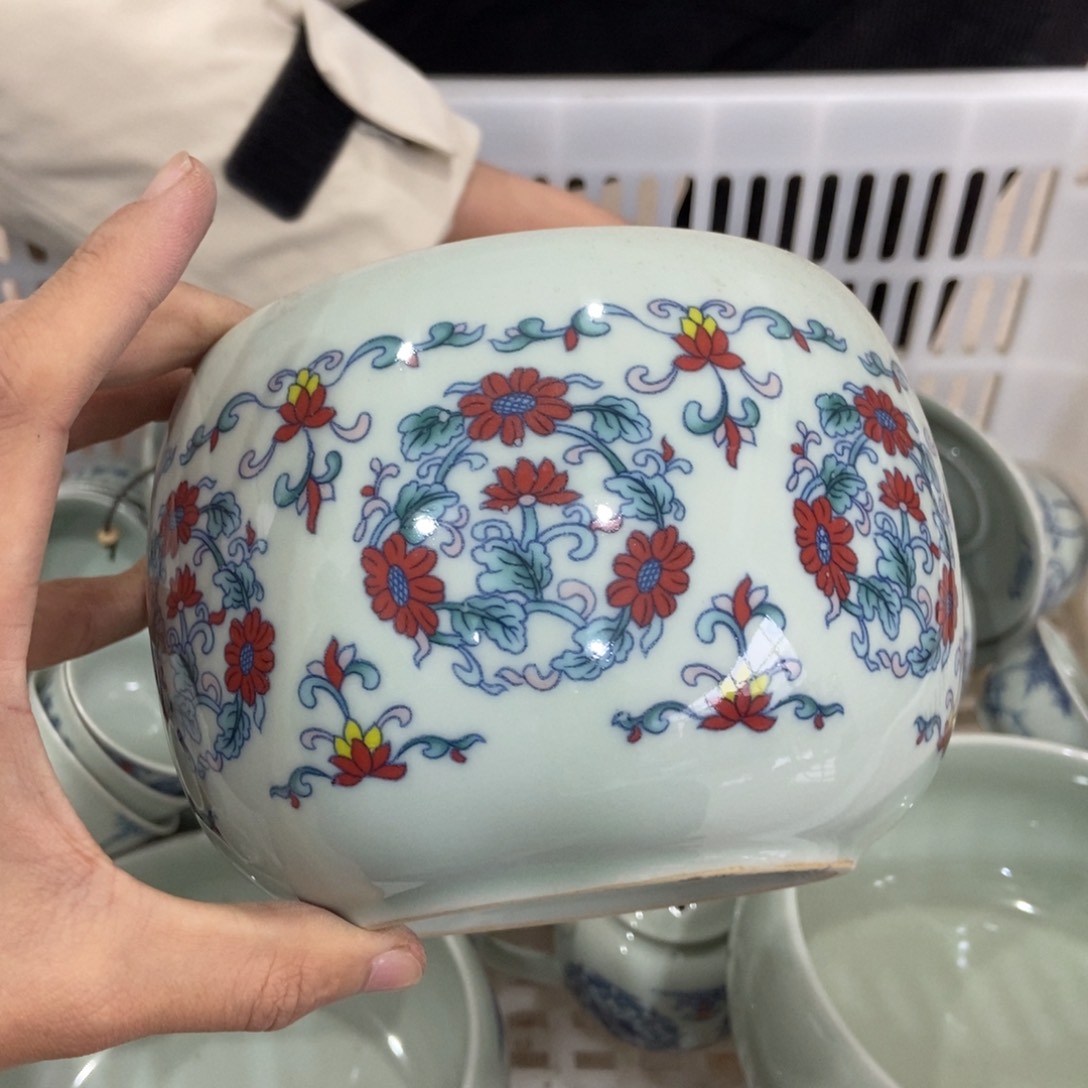 杯直播链接直播链接