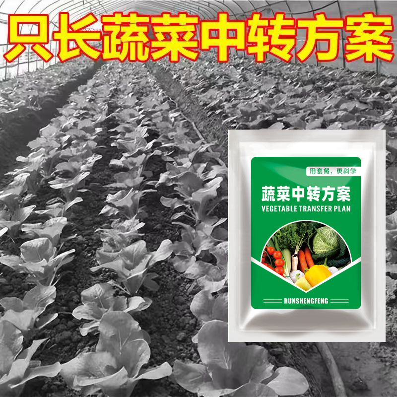 6蔬菜不伤农作物不影响作物生长升级版套装方案有机质肥料