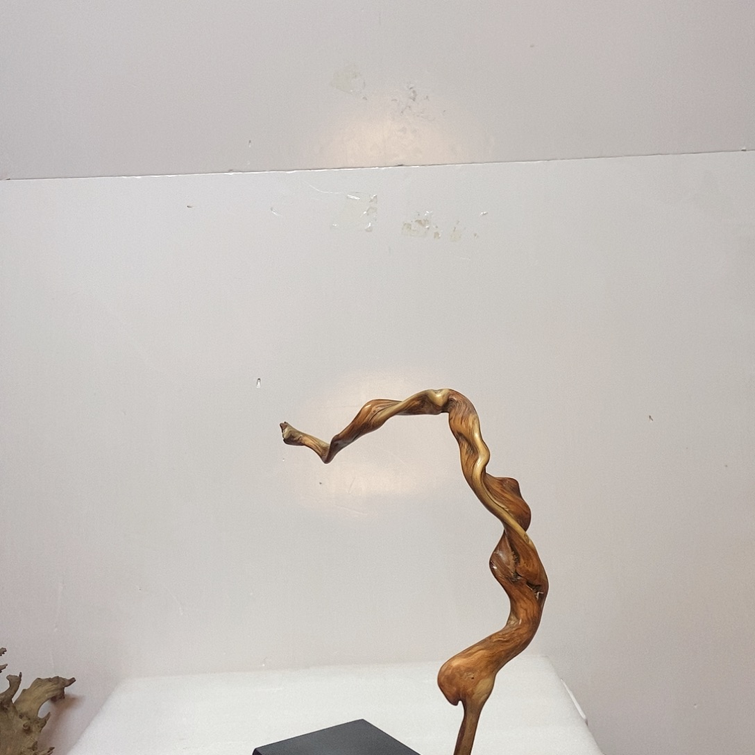 柏木（崖柏）人**年崖柏