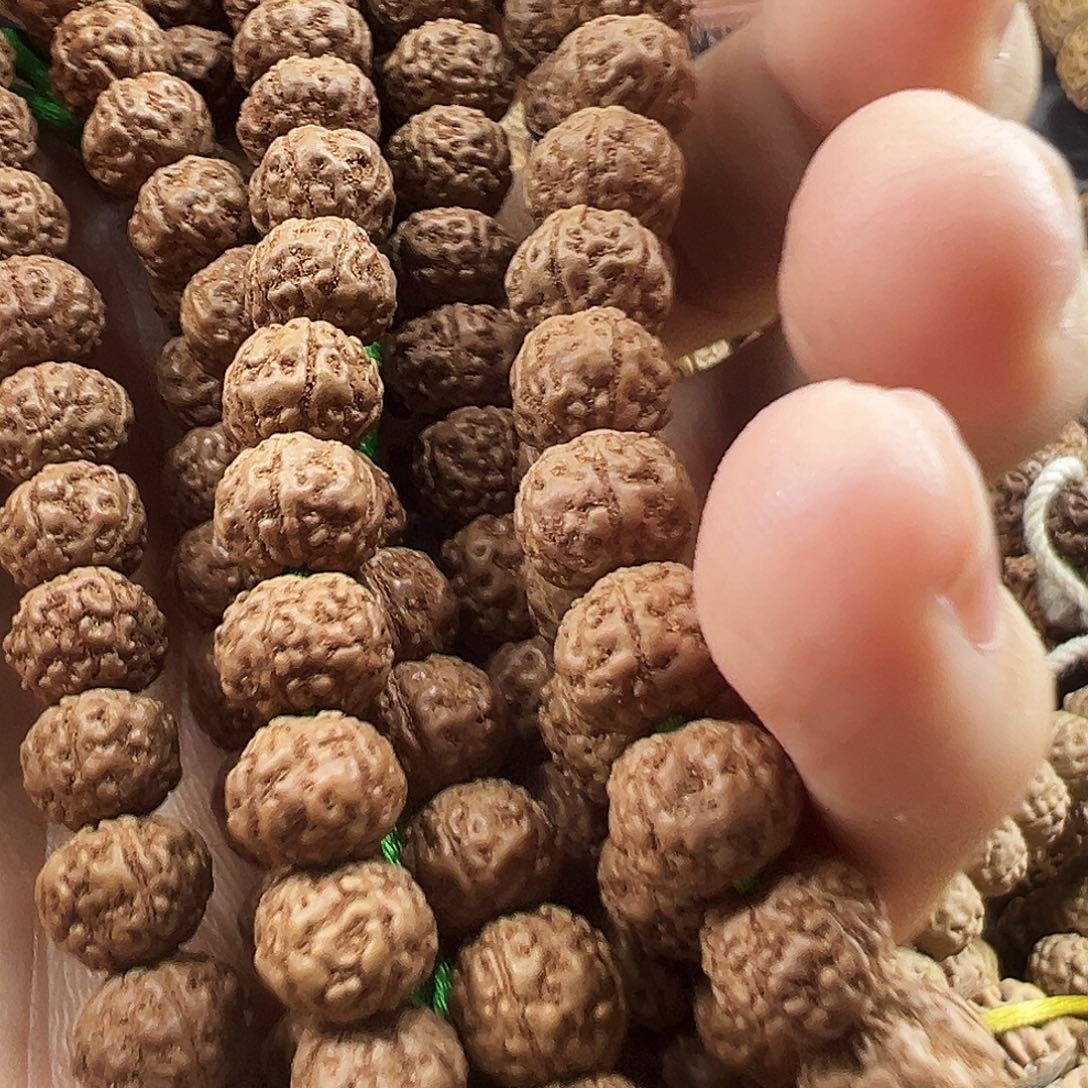 玺***哥金刚菩提吊坠8m老树王