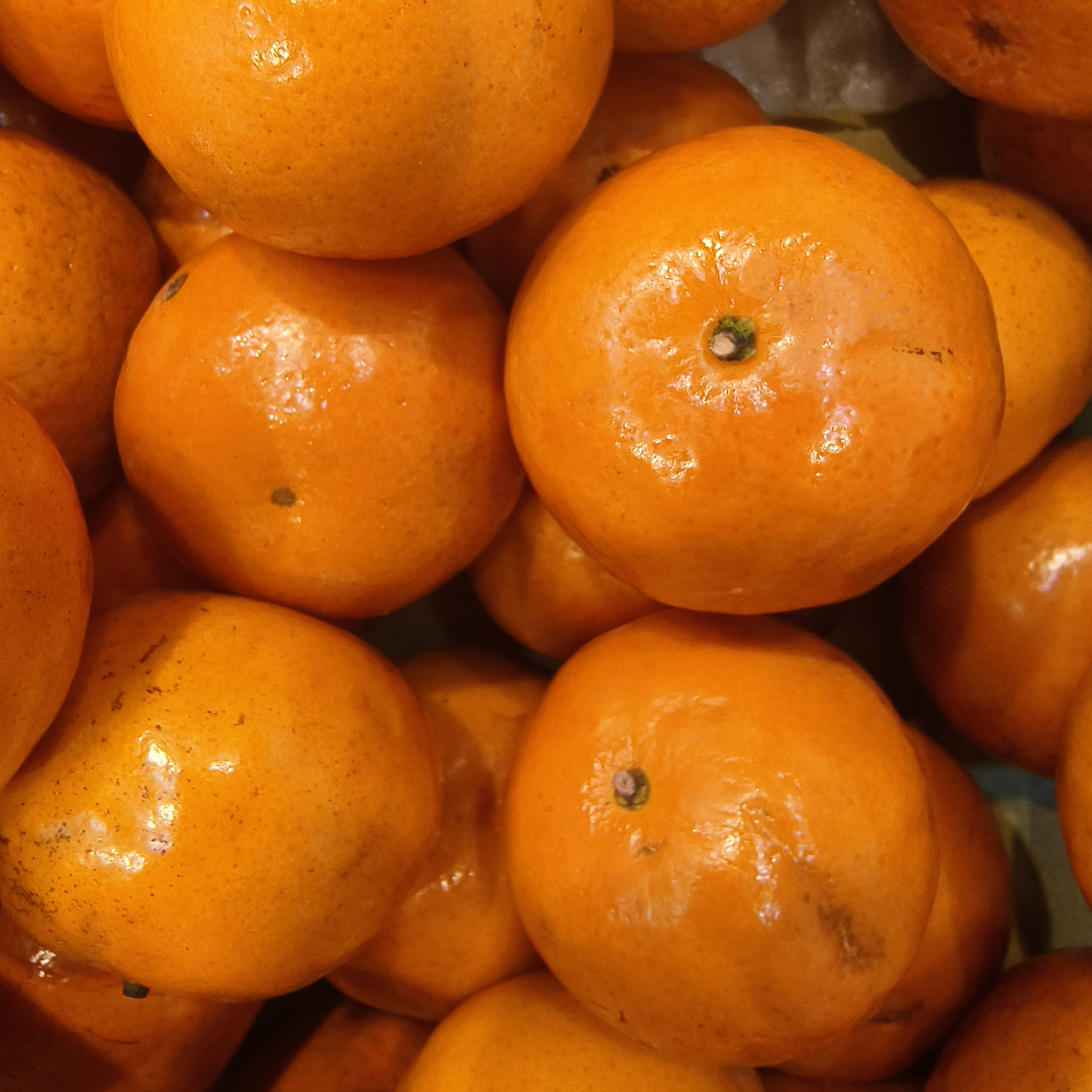 （明天到店自提）沃柑（橙8.99元3斤左右）甜橙