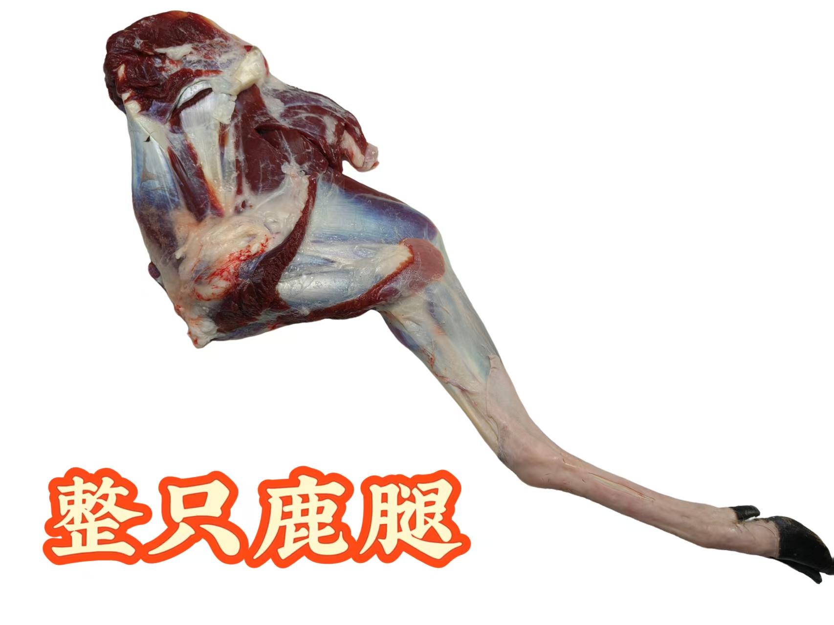 【整腿现场称重】梅花鹿整只腿前后腿顺丰冷链真空包装