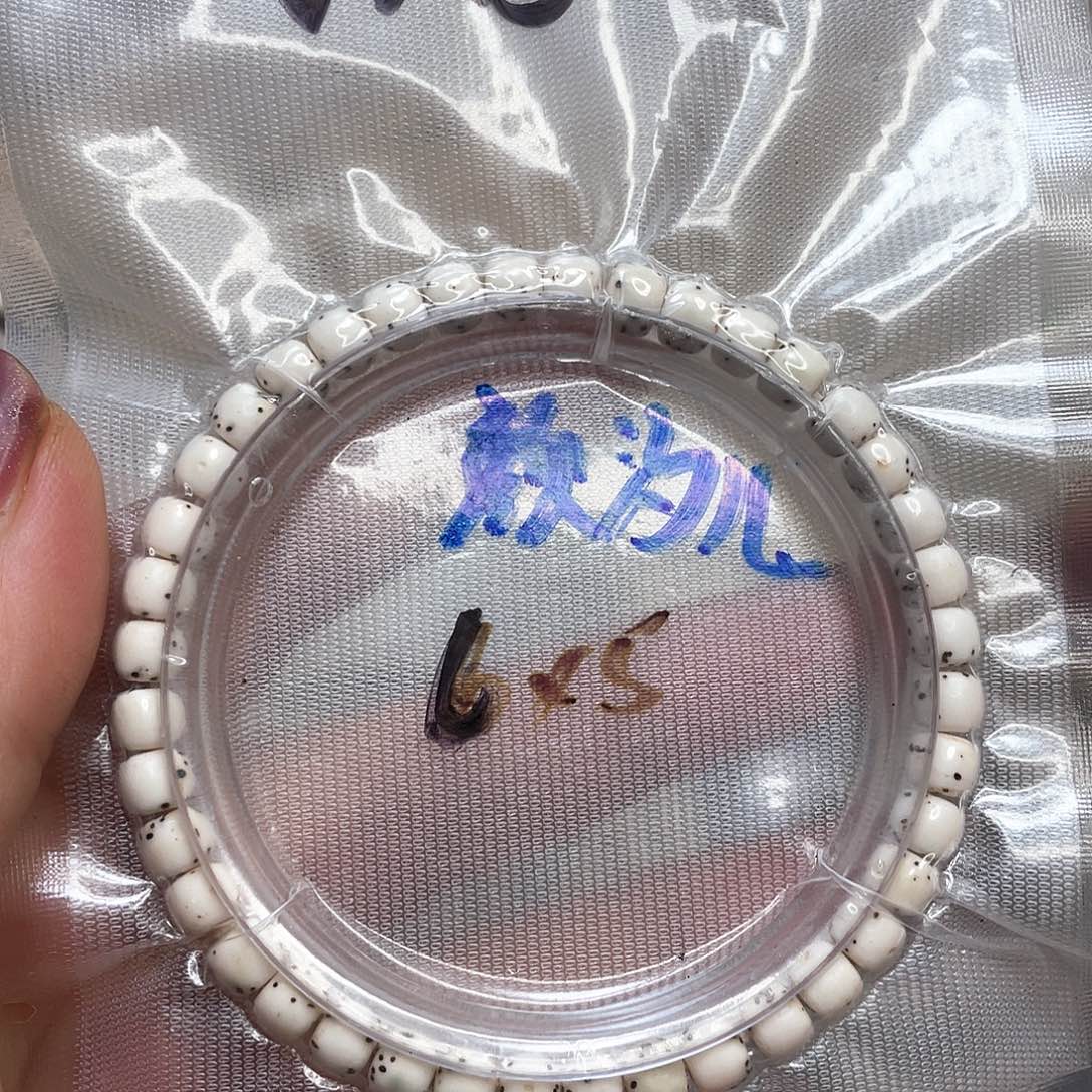 星月菩提手串原生态数星星单圈5/6一物一图