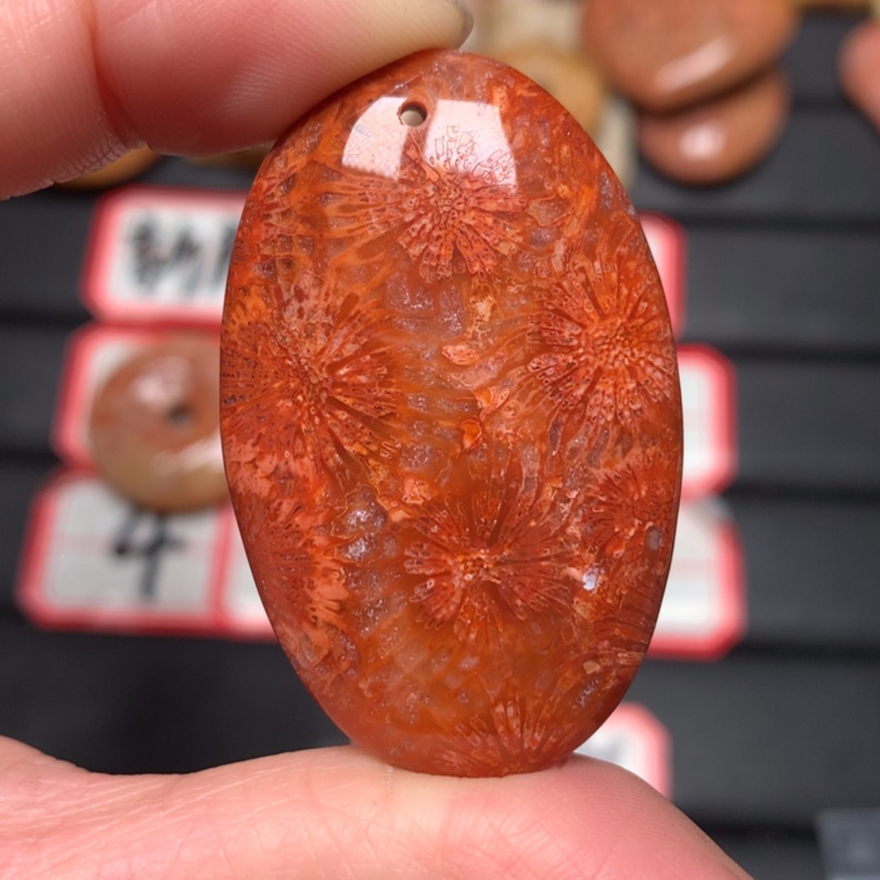 【闪购商品】硅化玉颈饰未镶嵌黑****z