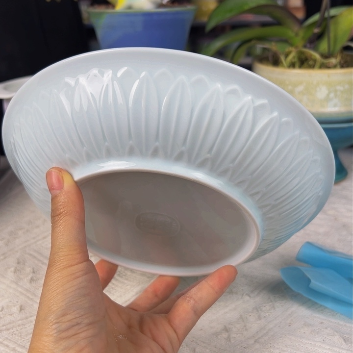 景德镇陶瓷研究所所长