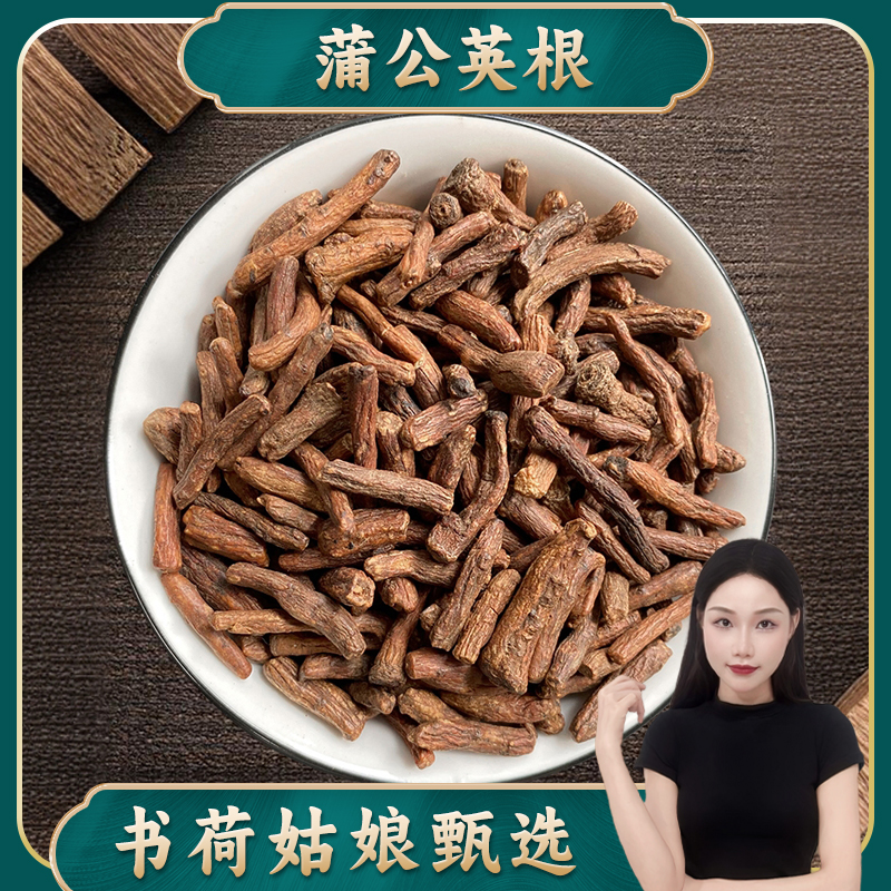 蒲公英根250g/500g 蒲公英大根粗根茶蒲公英根养生茶 百合