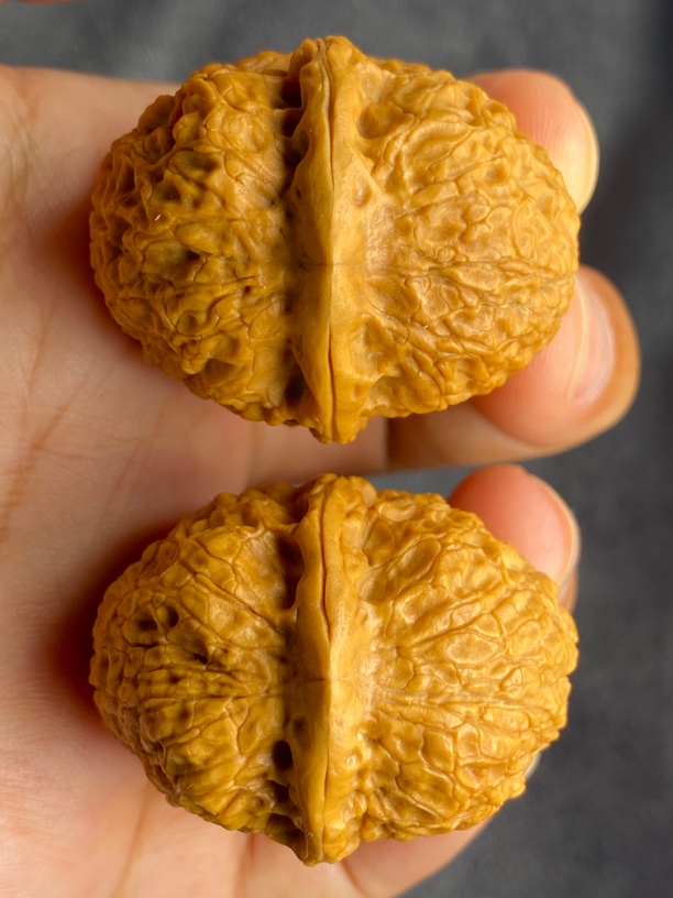 云南铁核桃手把件 至尊元宝39-40尺。图片同款精品随机一对