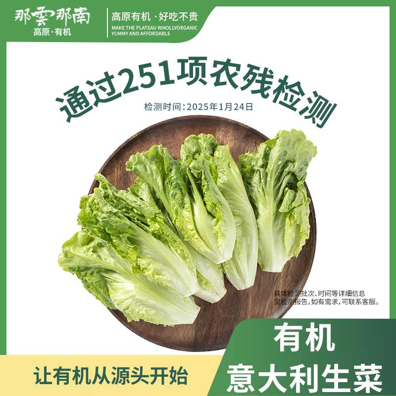 云南高原新鲜有机农场意大利生菜鲜嫩脆滑做沙拉3.6斤装生鲜蔬菜