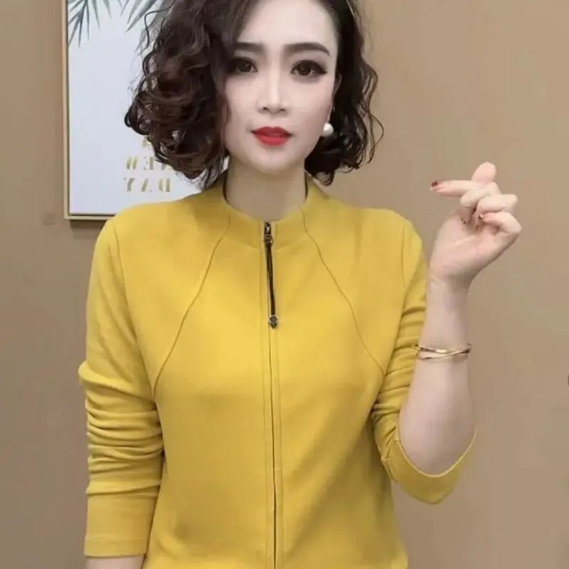 冬新品时尚百搭洋气气质拉链开衫长袖减龄气质女士上衣打底衫