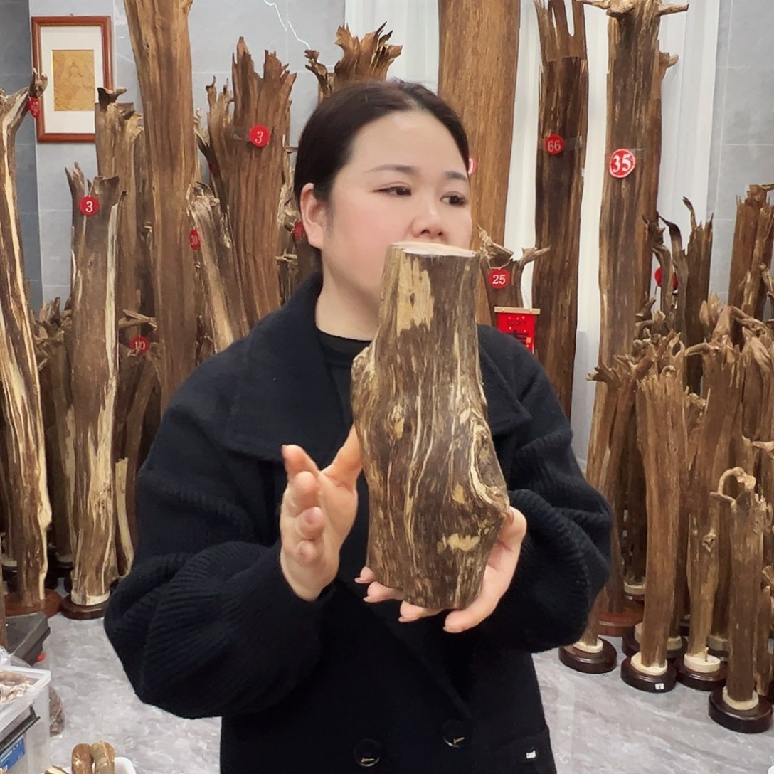 沉香摆件沉香原料摆件工艺品