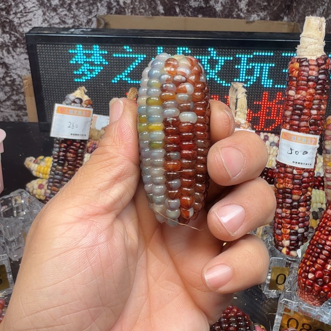 彤***^大叶紫檀（黑酸枝木类）