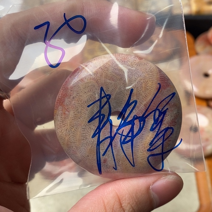 硅化玉颈饰未镶嵌静**开