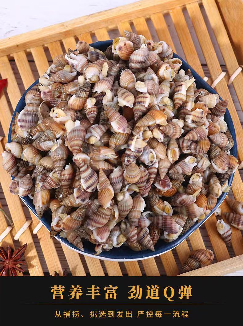 【顶呱呱滴深海海锥】东港新鲜海瓜子顺丰发货到家保活！（个别小的）