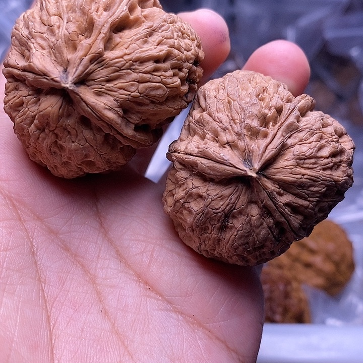 把件文玩核桃   69