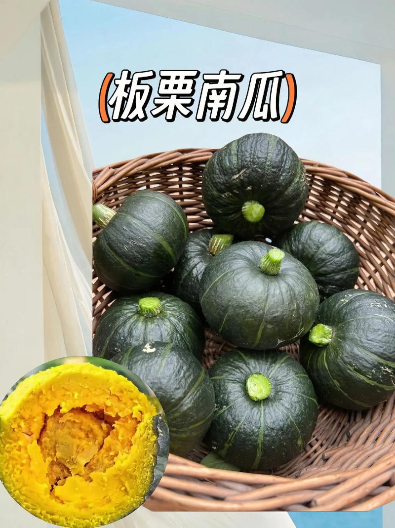 一村一品山野好货一板栗瓜