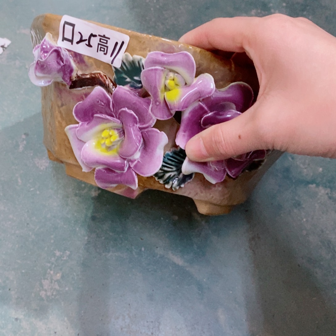 红陶福利福利福利