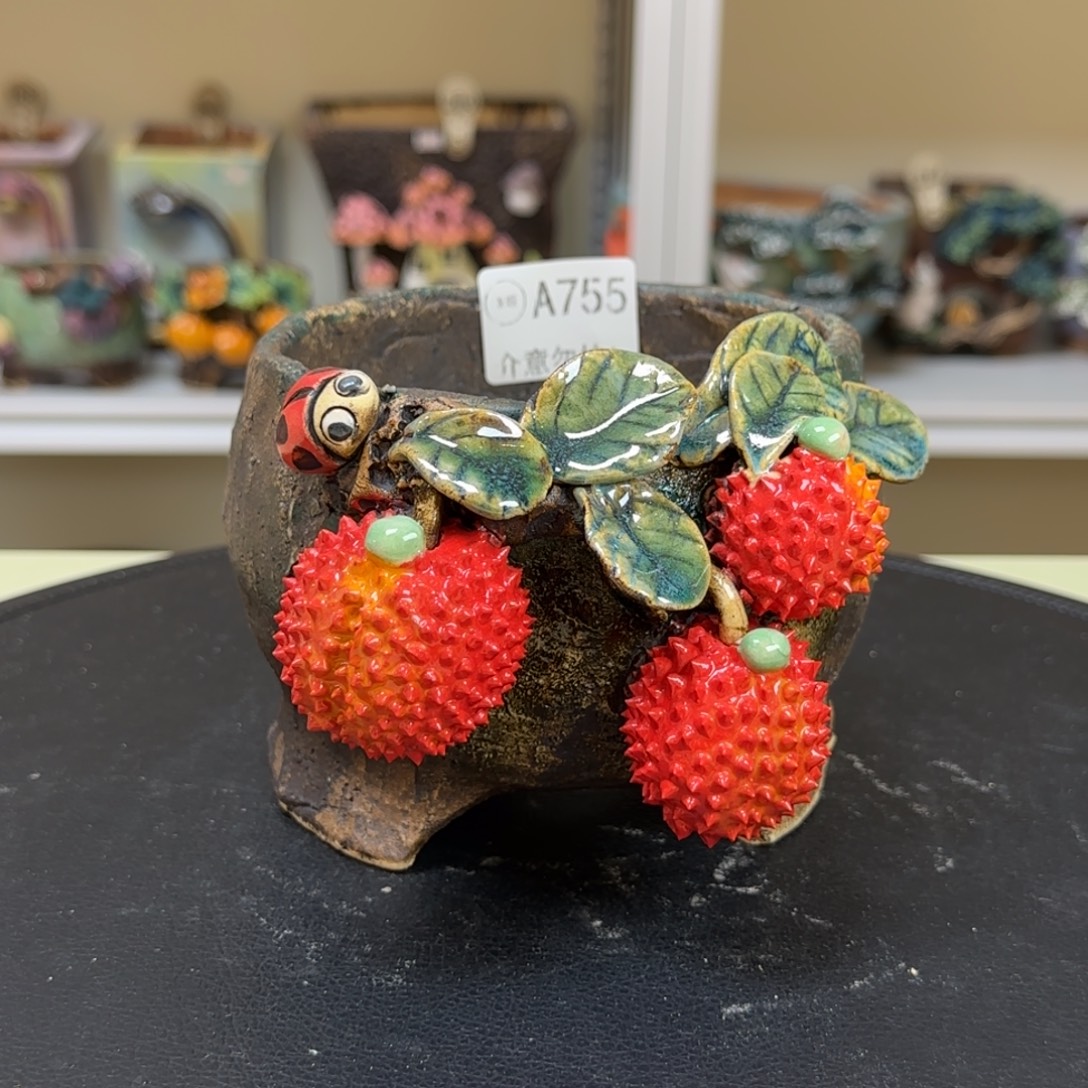 A755 【闪购】多肉花盆