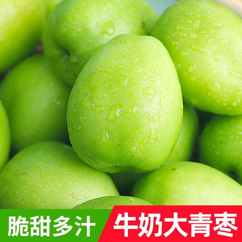 云南牛奶青枣大果脆爽爆甜嘎嘎新鲜正宗应季水果现摘树熟