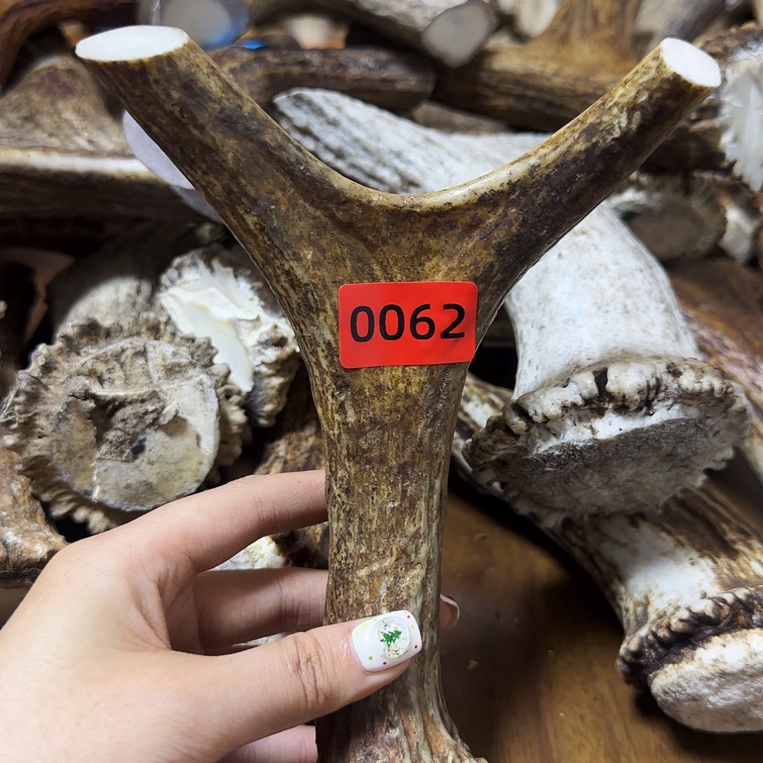 手串/手链鹿骨弹弓0062 长17 弓12 柄2.5