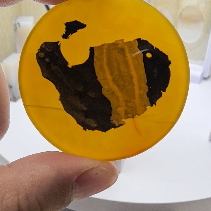 非金属时尚饰品40