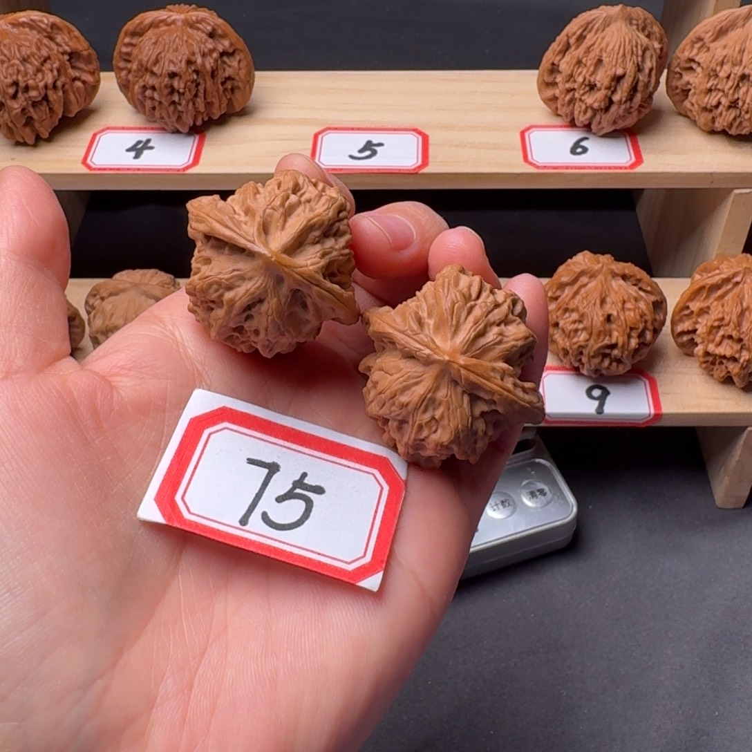 文玩核桃把件野狼38尺