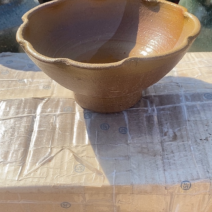 红陶高10/19 无孔新年福利