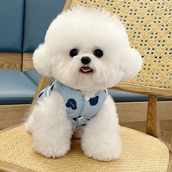 宠物通用链接1号