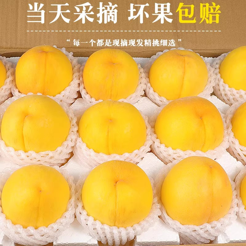 【顺丰京东】正宗黄桃露天黄毛桃香甜多汁现摘现发