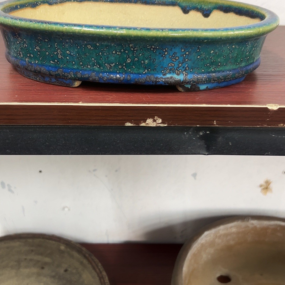 会****对你的喜欢就如同这日子只增不减弘扬椭圆