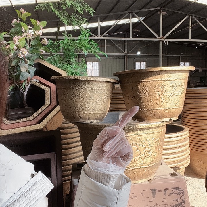 八***财60花盆4个150元包邮