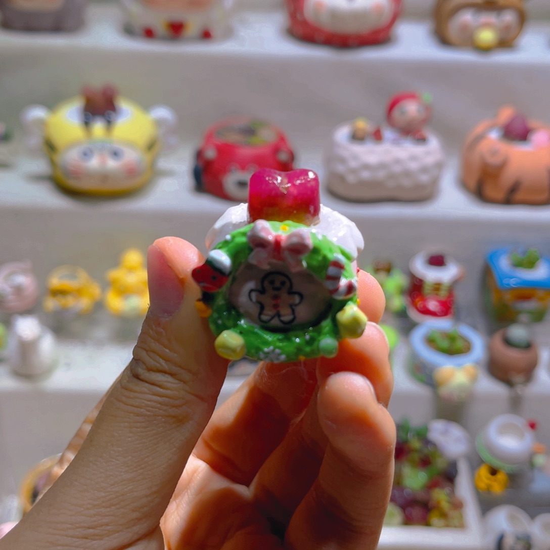 041高端多肉带盆土一套26