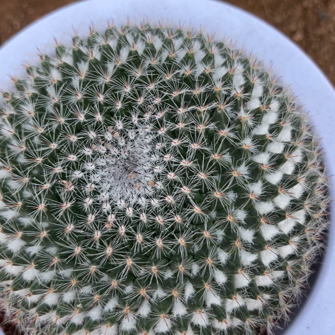 深***人零零落落 零零落落