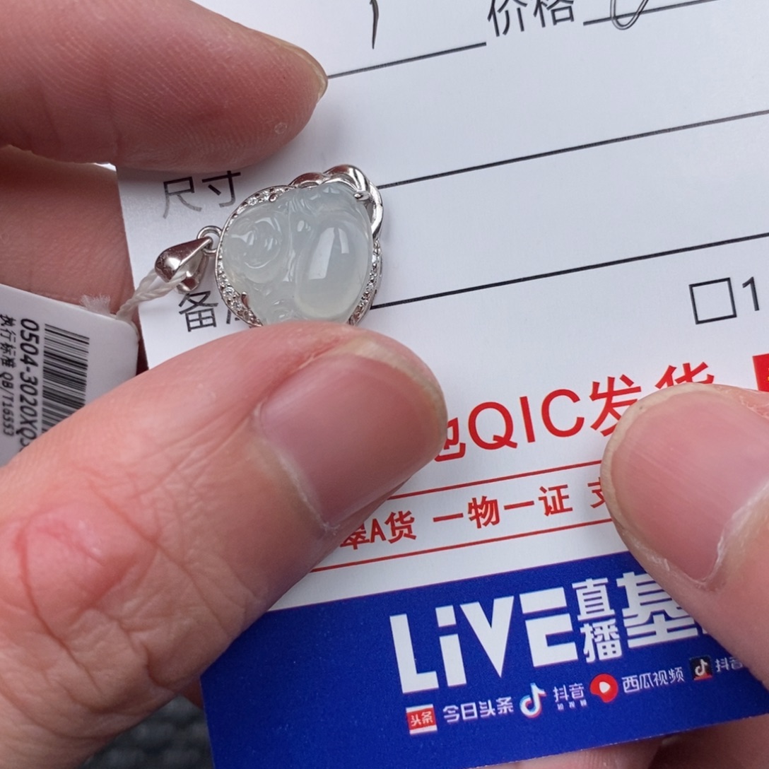 粥****翡翠银S925镶嵌颈饰