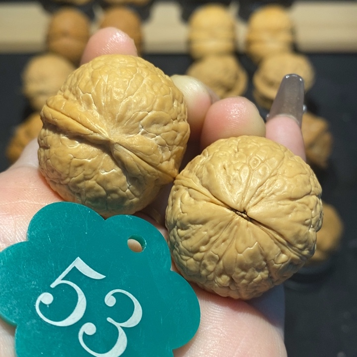 核桃蛇皮球33核桃尺寸