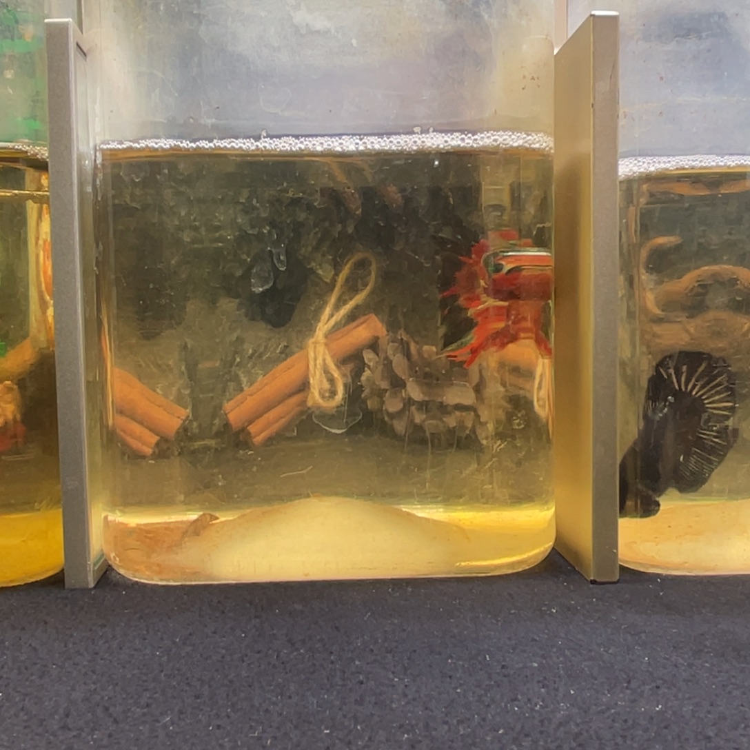 斗鱼十二月二十四日竞价